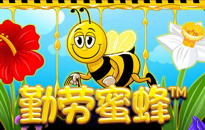 ayx体育官方app